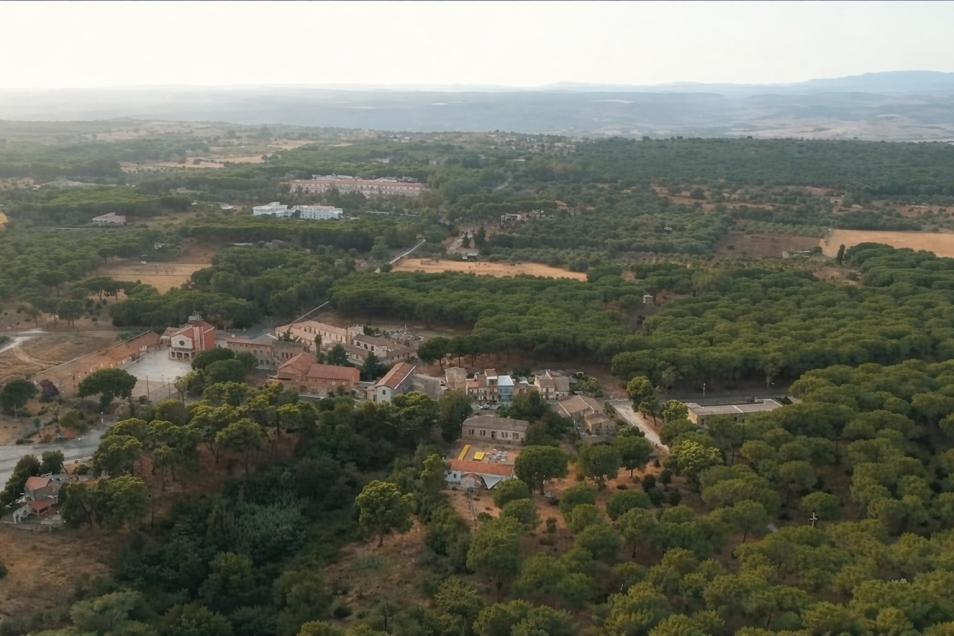 bosco colto